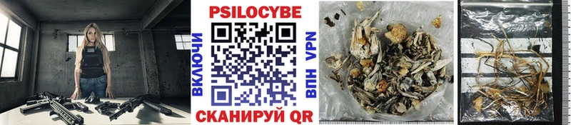 Псилоцибиновые грибы ЛСД  где найти   Будённовск 