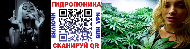 Бошки Шишки план  Будённовск 